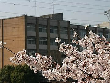 大宮東高等学校