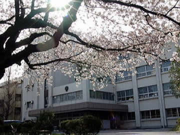千葉高等学校