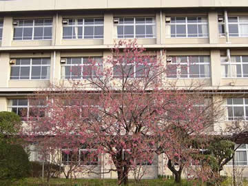 津田沼高等学校