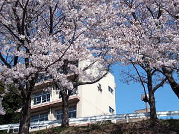 船橋芝山高等学校