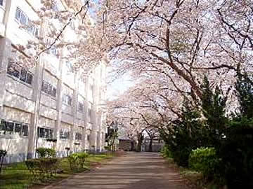 横浜緑ヶ丘高等学校